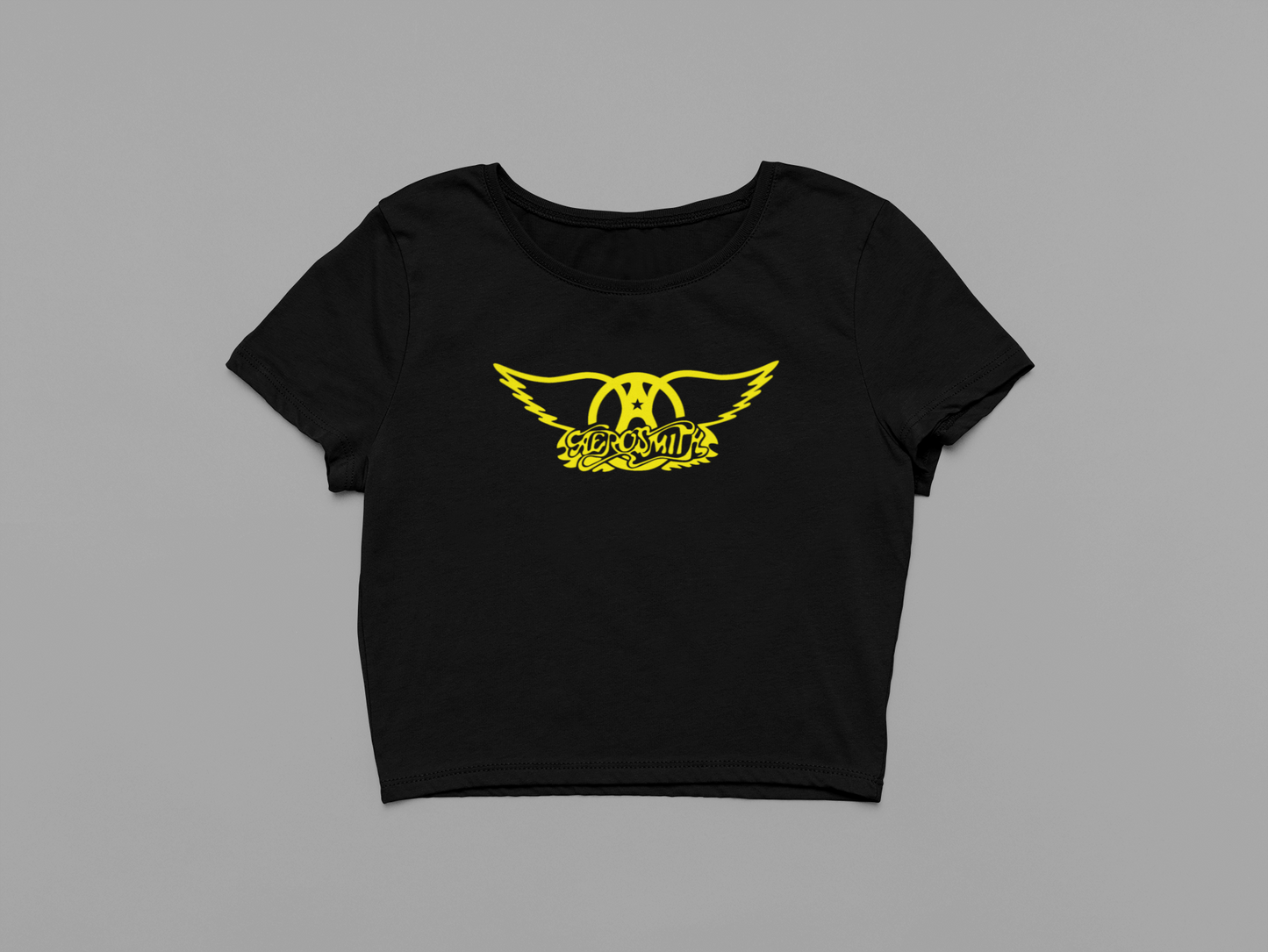 Aerosmith Crop Top