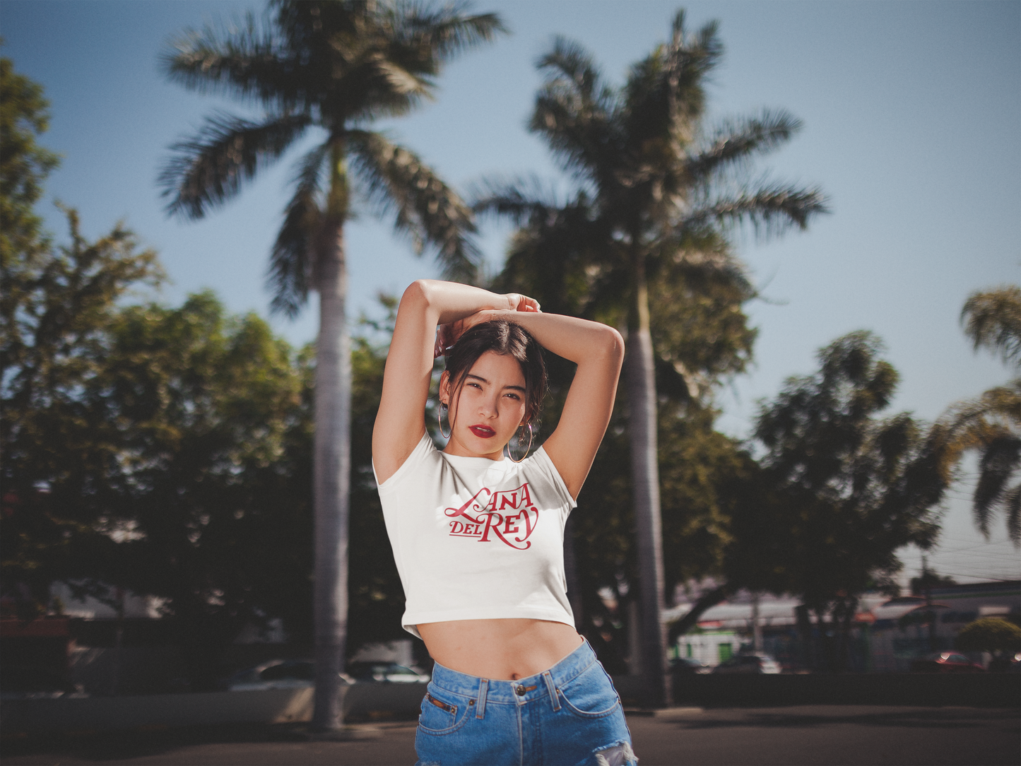 lana del rey crop top